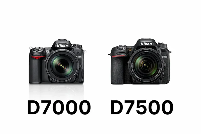 Nikon D7000とD7500を徹底比較！画質・AF・動画・操作性の違いと選び方